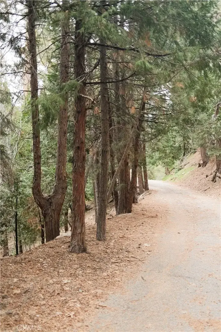 0 Pioneer, Lake Arrowhead, CA 92352 - #2