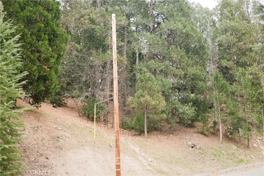 0 Pioneer, Lake Arrowhead, CA 92352 - #3