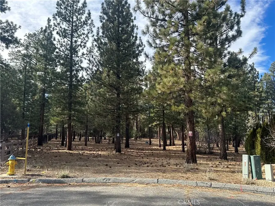1801 Shady, Big Bear City, CA 92314 - #3