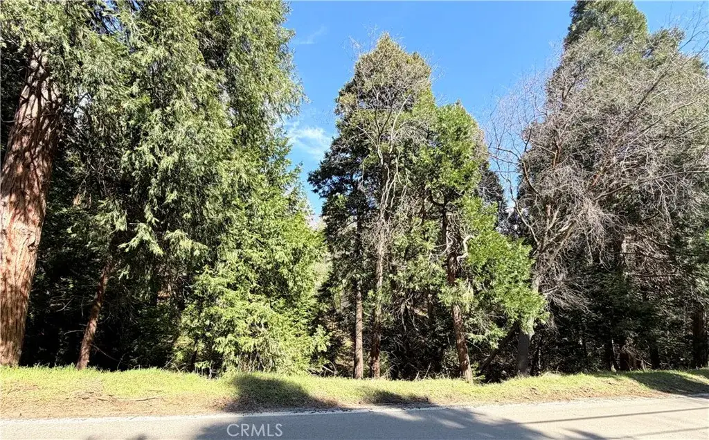 0 Hook Creek, Cedar Glen, CA 92321 - #1