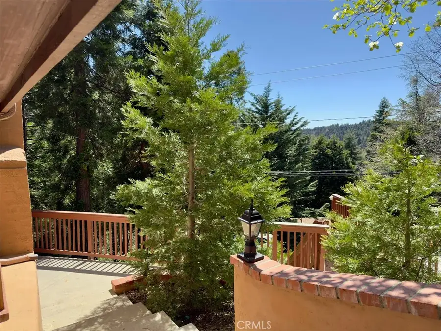 777 Ivy, Lake Arrowhead, CA 92352 - #3