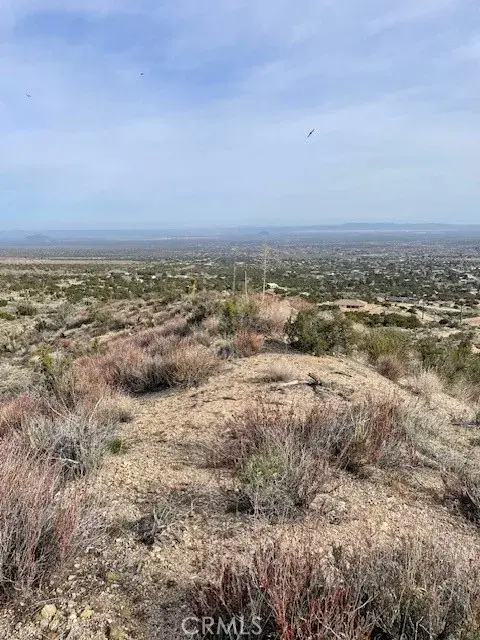 0 None, Pinon Hills, CA 92372 - #1