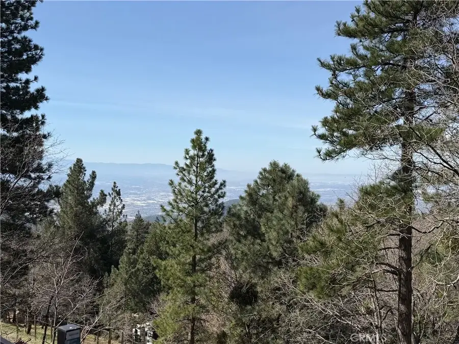 30445 Live Oak, Running Springs, CA 92382 - #3