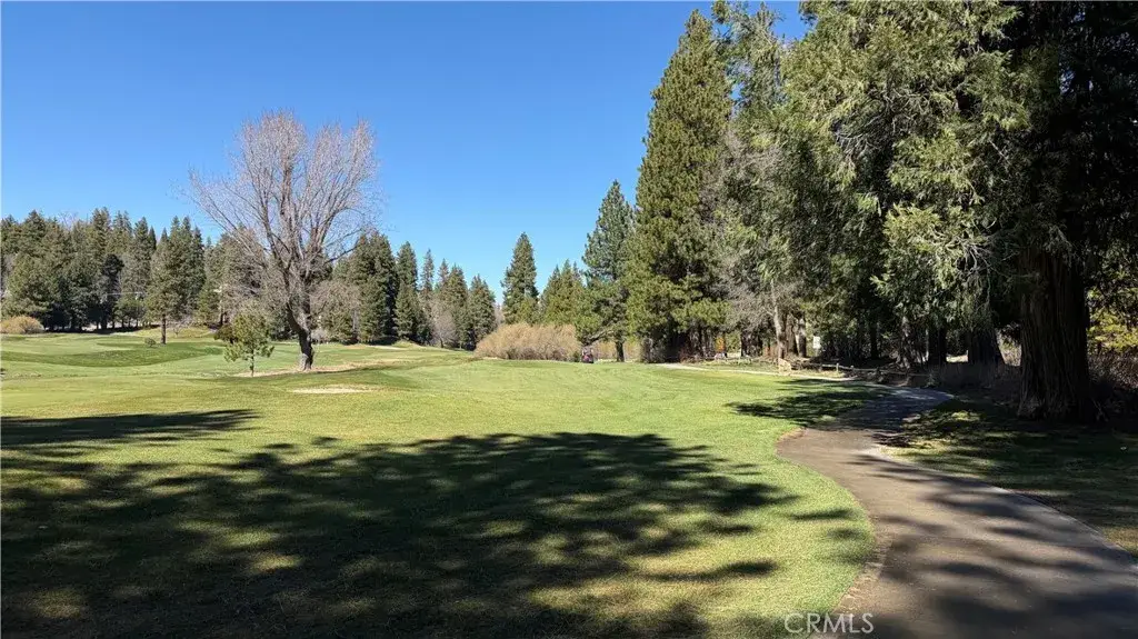 0 Grass Valley, Twin Peaks, CA 92391 - #1
