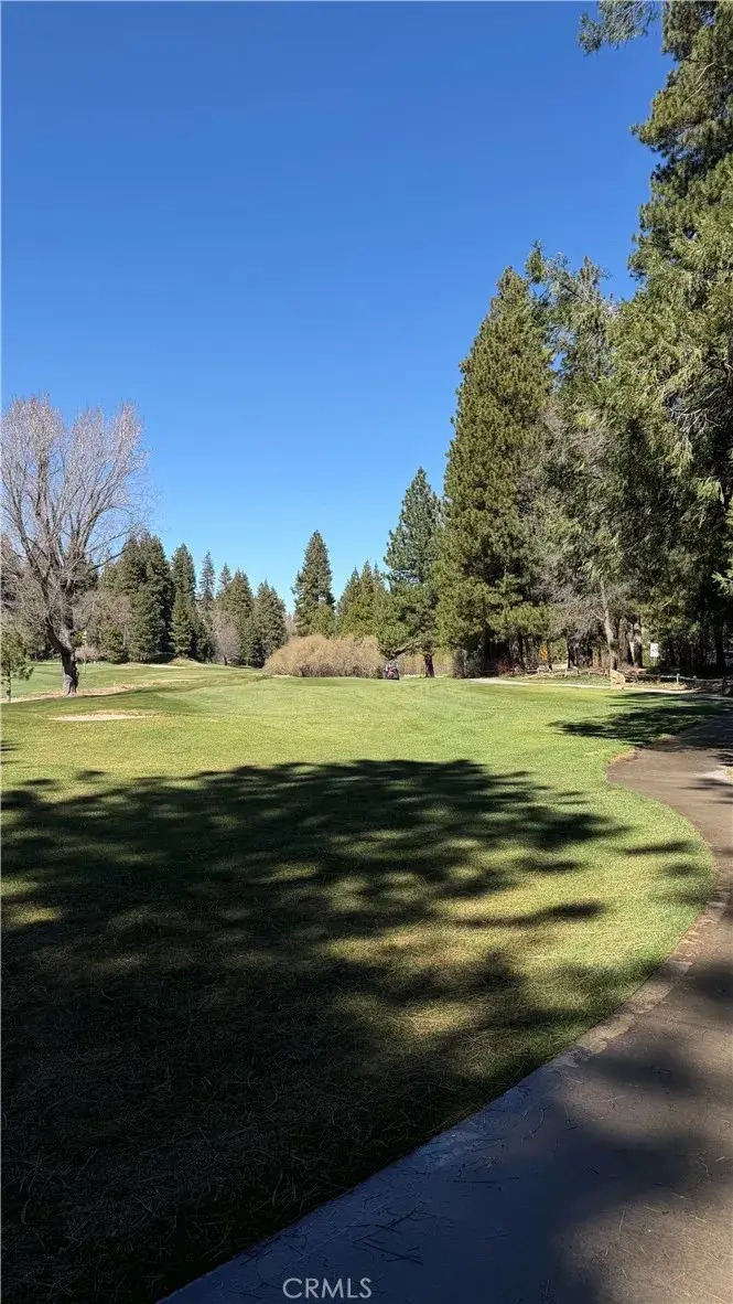 0 Grass Valley, Twin Peaks, CA 92391 - #2