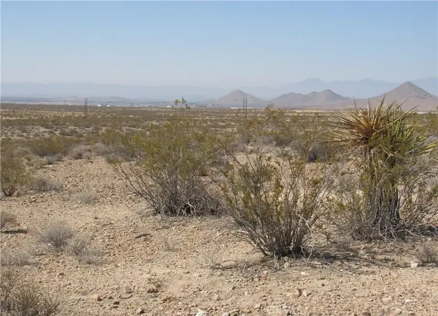 0 0463-111-11-0000 Leaping Lizard, Apple Valley, CA 92307 - #2