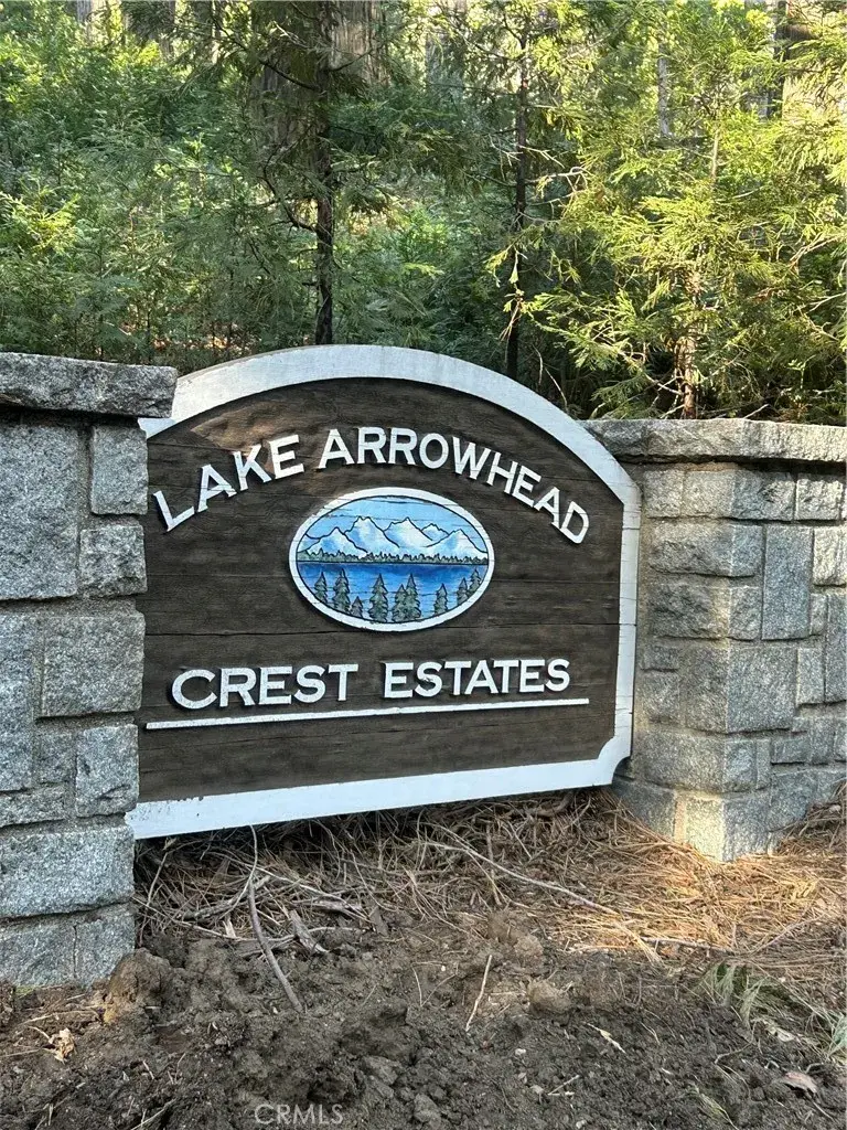 717 Crest Estates, Lake Arrowhead, CA 92352 - #2