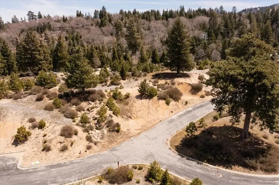 150 Mill Pond, Lake Arrowhead, CA 92352 - #3