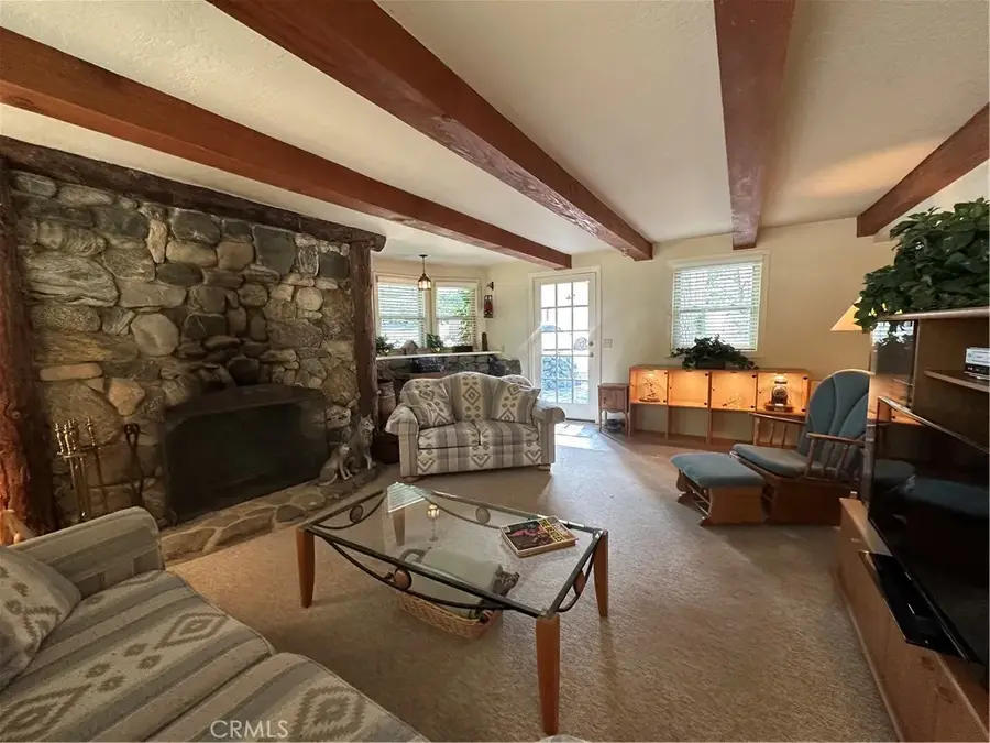 9120 Torrey Pines, Forest Falls, CA 92339 - #3