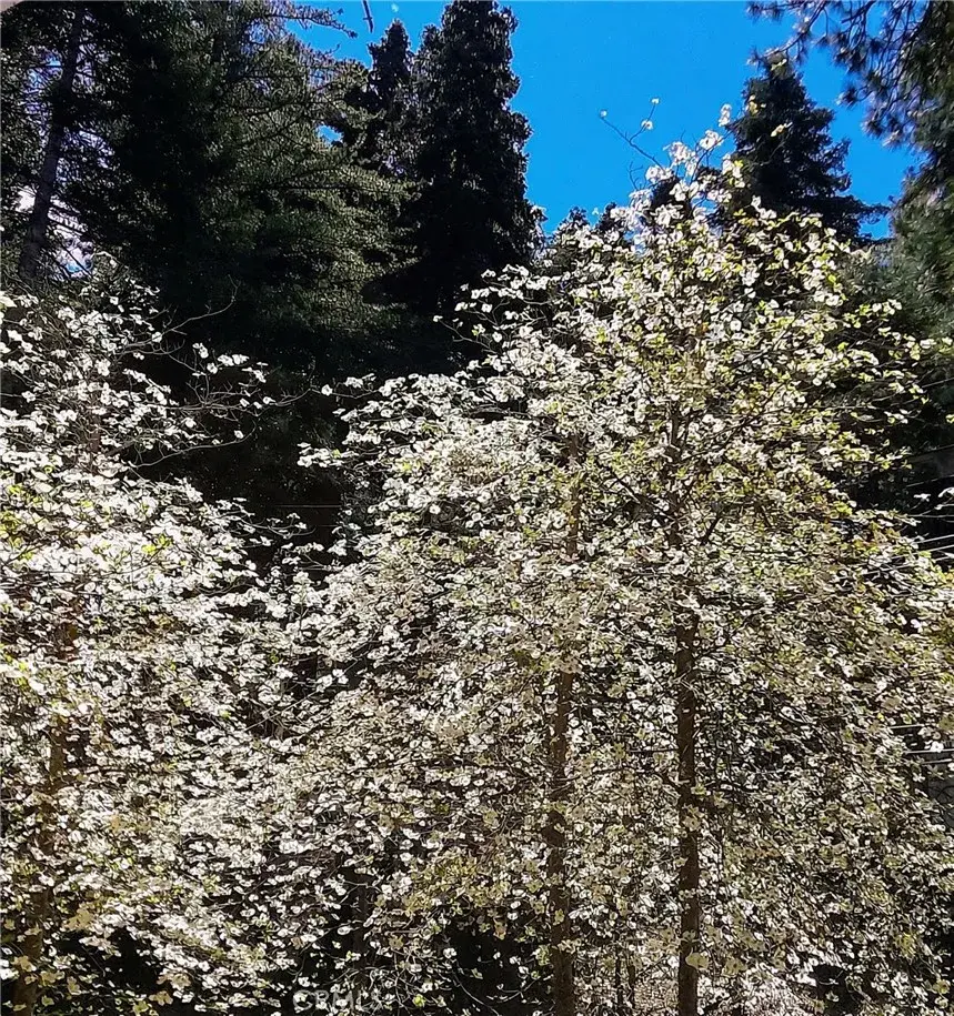 848 Oakmont, Lake Arrowhead, CA 92352 - #3