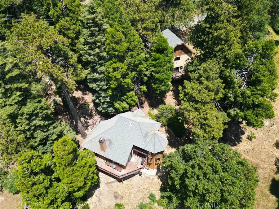 21425 Sawpit Canyon Road, Cedarpines Park, CA 92322 - #3