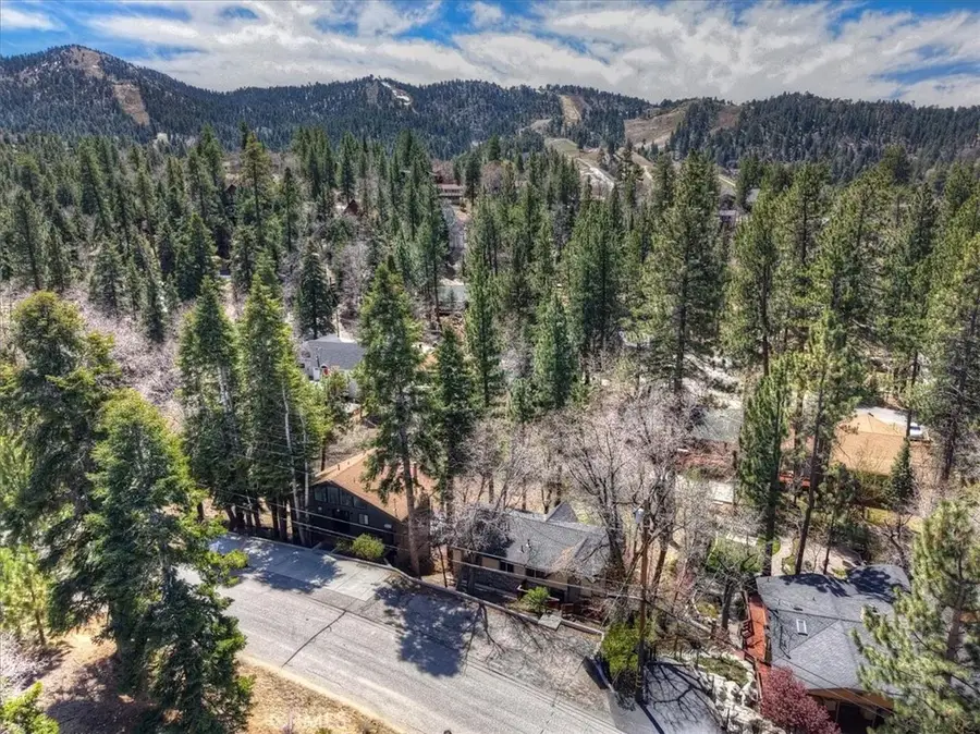 43335 Bow Canyon, Big Bear Lake, CA 92315 - #3
