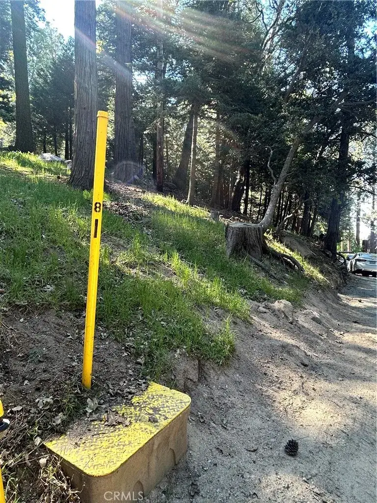 0 Forest Vw, Arrowhead, Twin Peaks, CA 92391 - #1