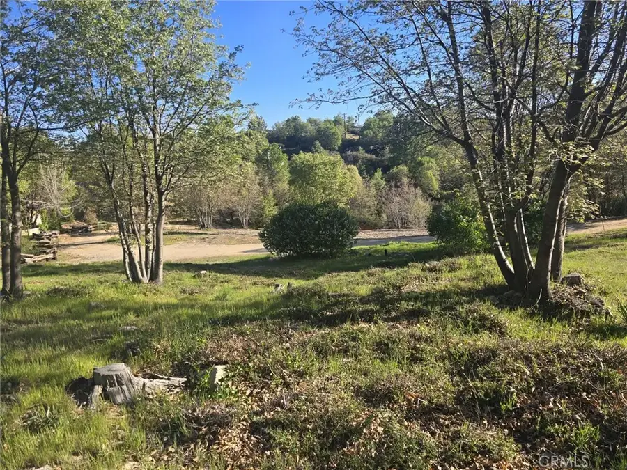 29783 Redwood, Cedar Glen, CA 92321 - #2