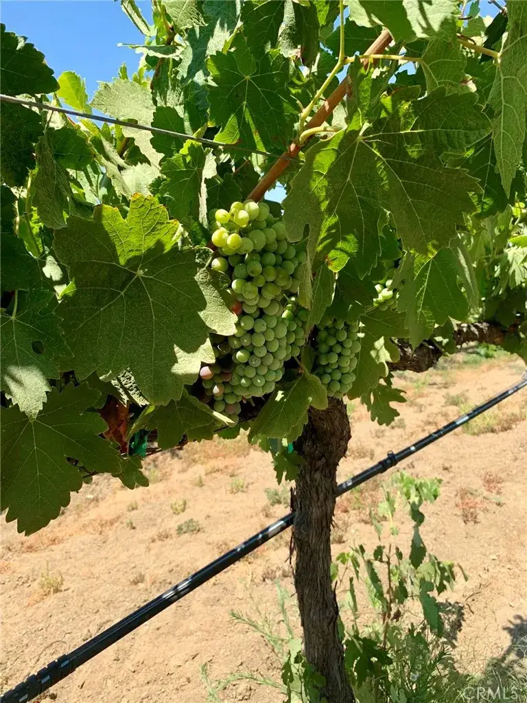 6 Berenda, Temecula, CA 92592 - #2