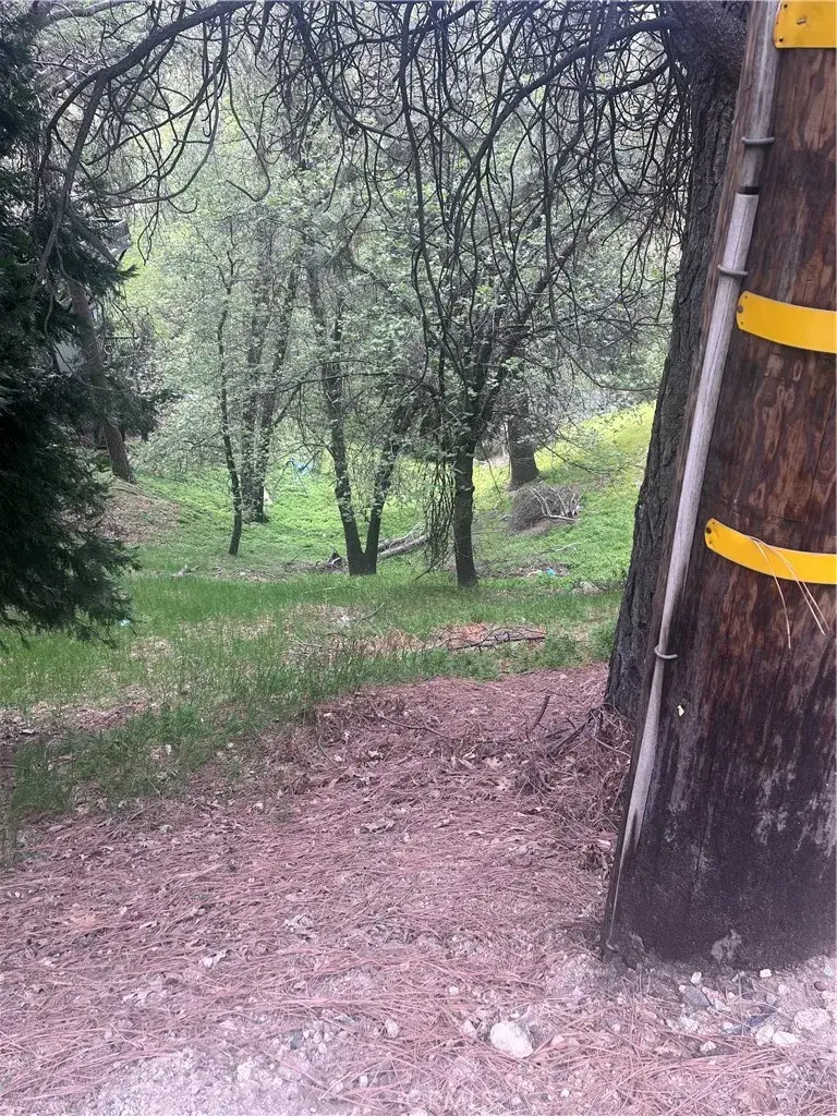 0 Jewel, Crestline, CA 92325 - #2