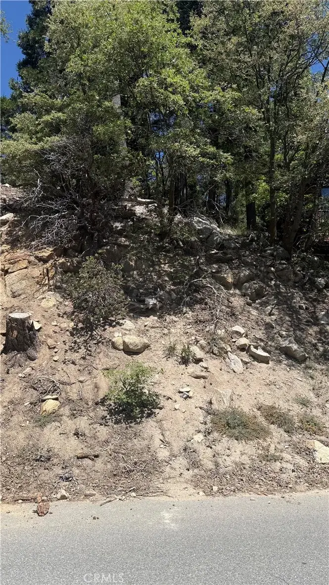 0 Thunderbird, Lake Arrowhead, CA 92352 - #1