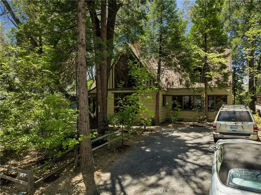238 Maple Drive, Lake Arrowhead, CA 92352 - #1