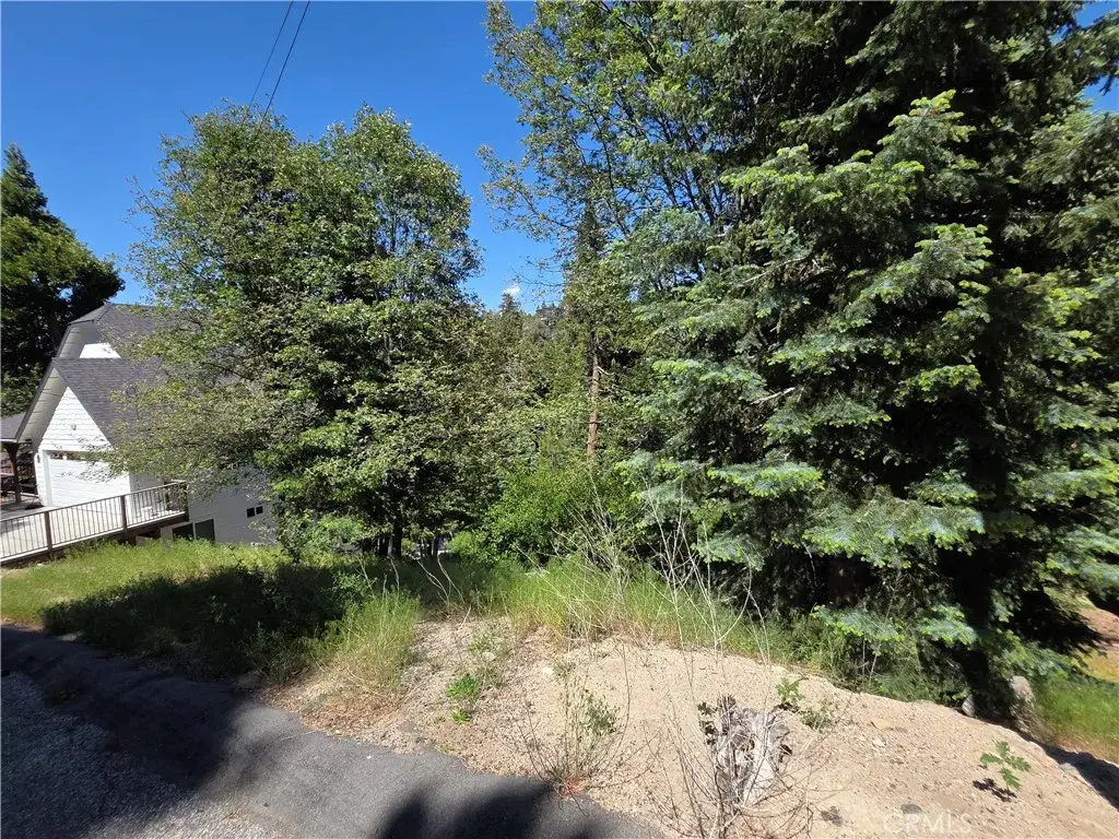 0 Shenandoah, Lake Arrowhead, CA 92352 - #1