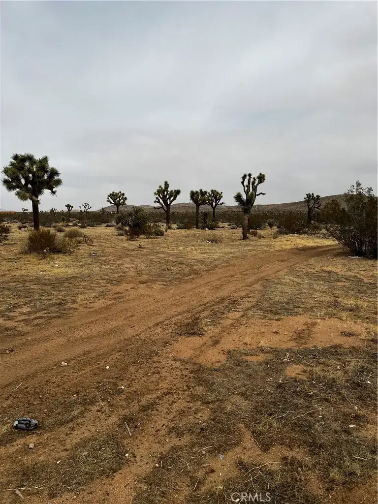 0 Sunway, Yucca Valley, CA 92284 - #2
