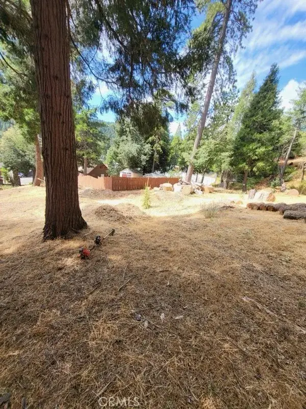 0 Lake, Crestline, CA 92325 - #1