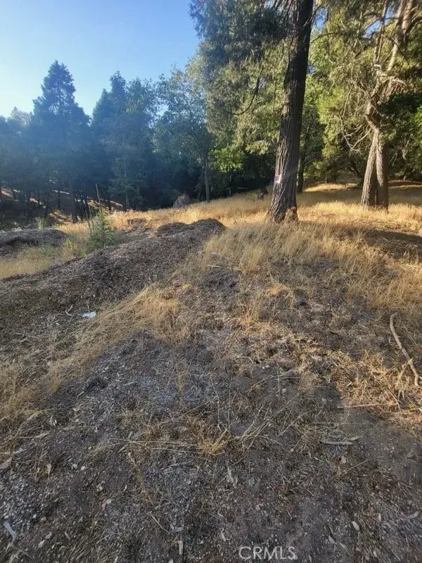 0 Lake, Crestline, CA 92325 - #2