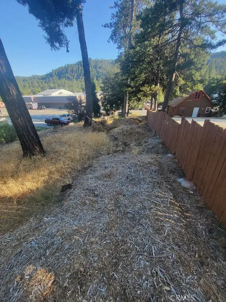 0 Lake, Crestline, CA 92325 - #3
