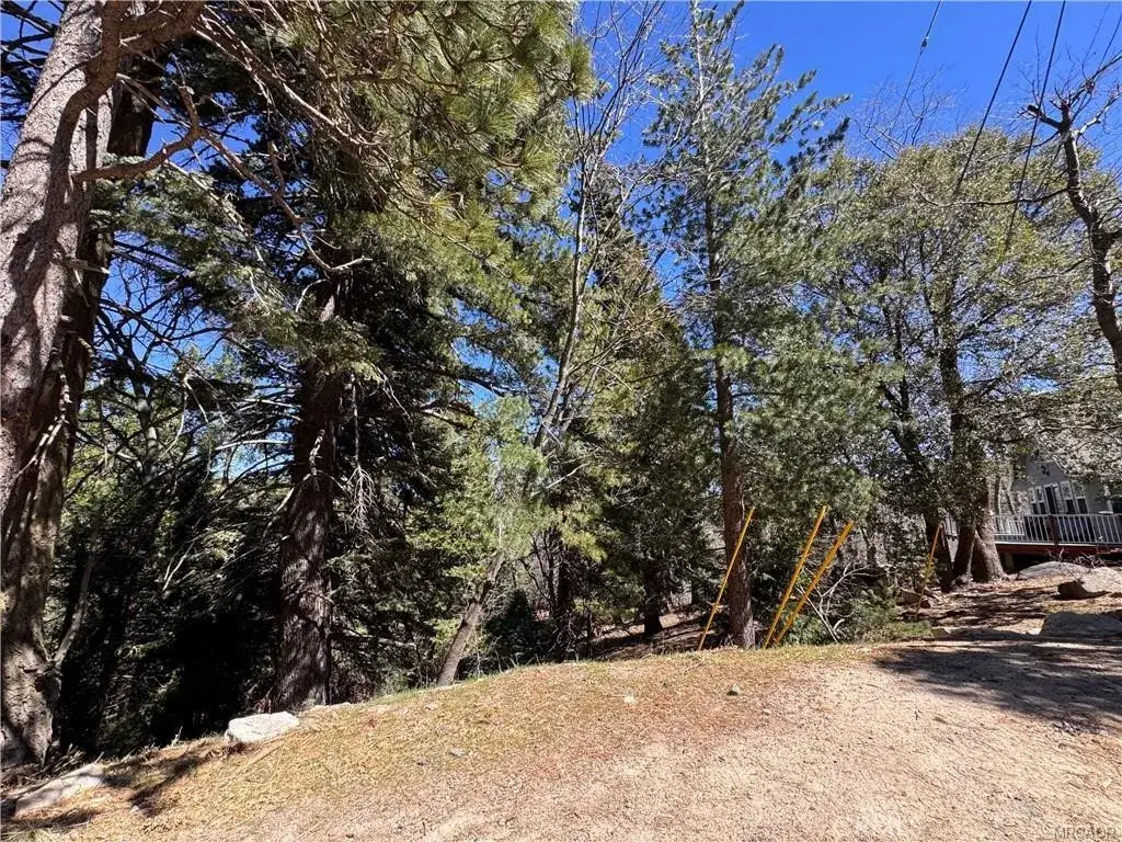 0 Mid, Twin Peaks, CA 92391 - #1