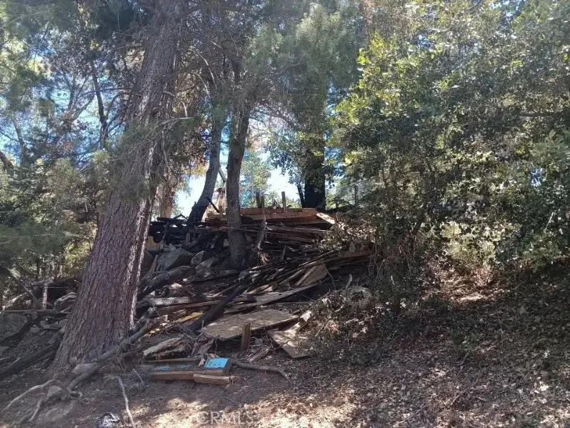1102 Chateau, Crestline, CA 92325 - #3