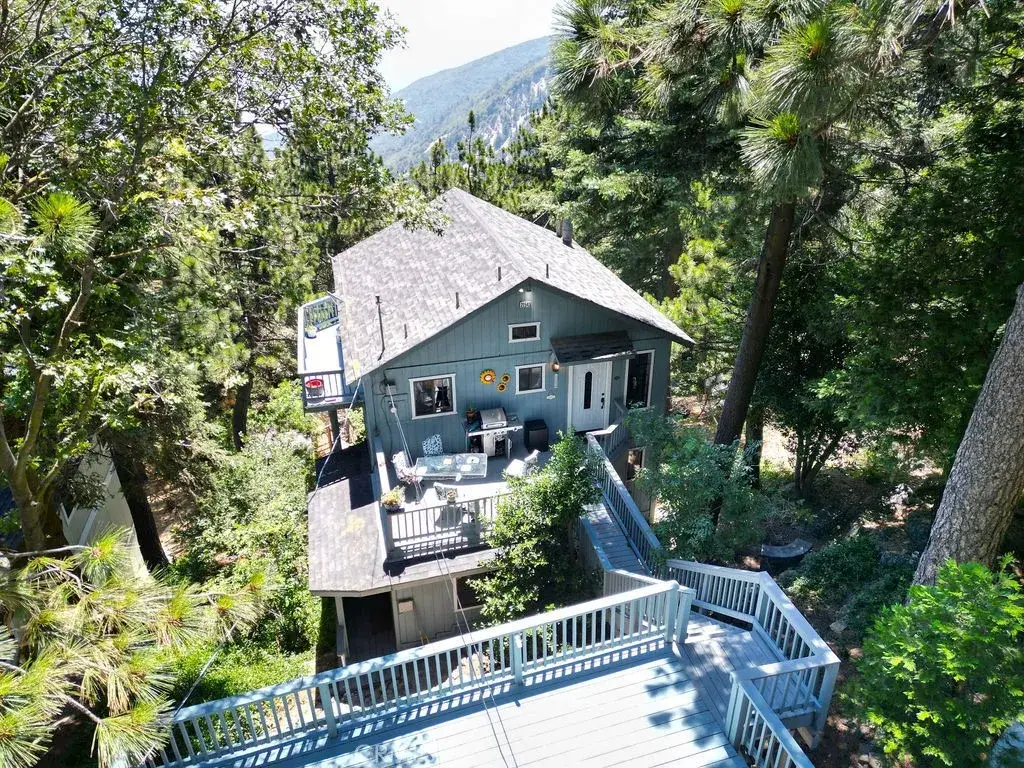 21543 Peak Circle, Cedarpines Park, CA 92322 - #1