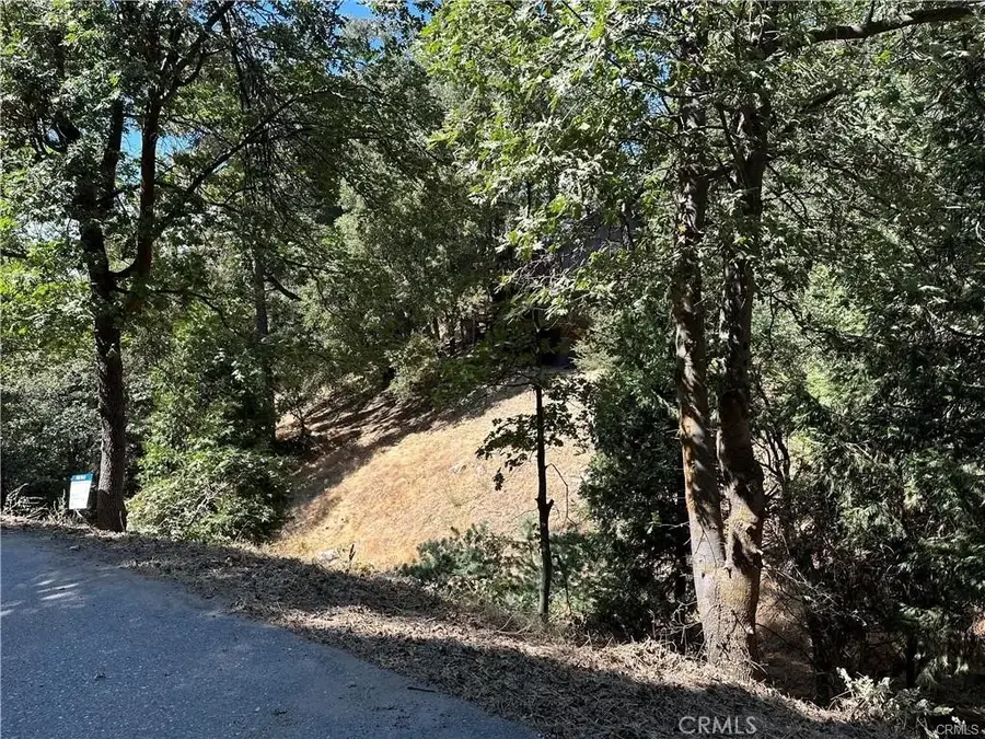 24960 Saxon, Crestline, CA 92325 - #2