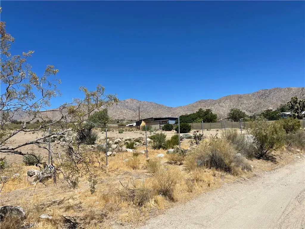 9528 Piedras Trail, Morongo Valley, CA 92256 - #1