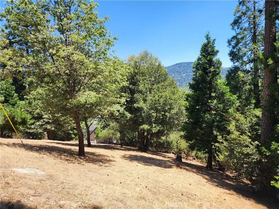 315 Weisshorn, Crestline, CA 92325 - #3