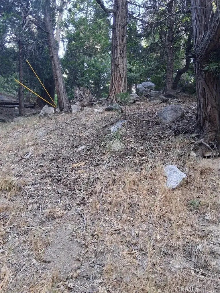 6 Finhaut, Crestline, CA 92325 - #1