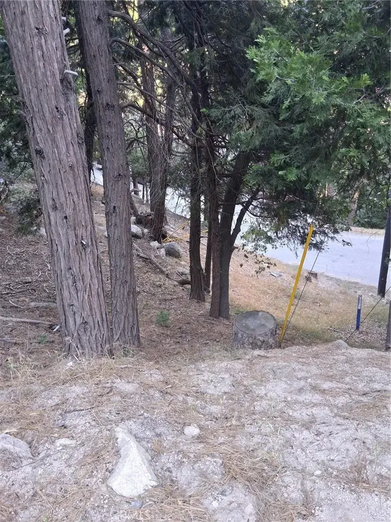 6 Finhaut, Crestline, CA 92325 - #3