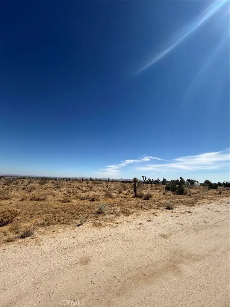0 101 Ave W-4, Pearblossom, CA 93553 - #3