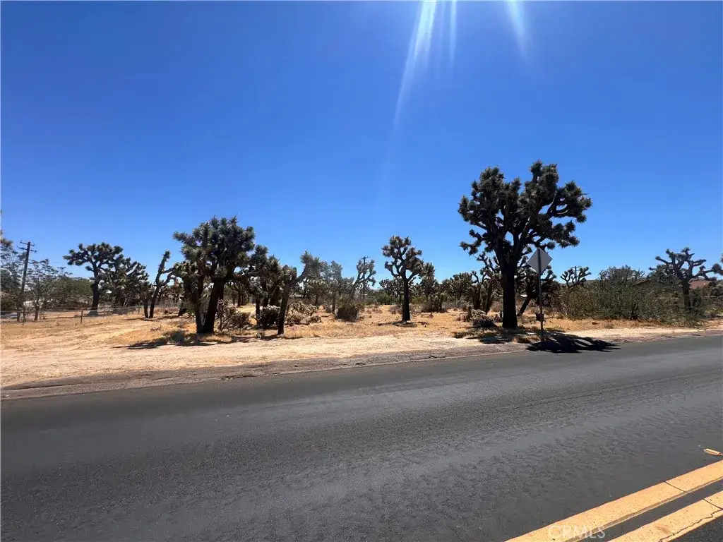 7421 Joshua, Yucca Valley, CA 92284 - #1