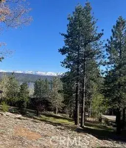 39405 Garden, Fawnskin, CA 92333 - #3