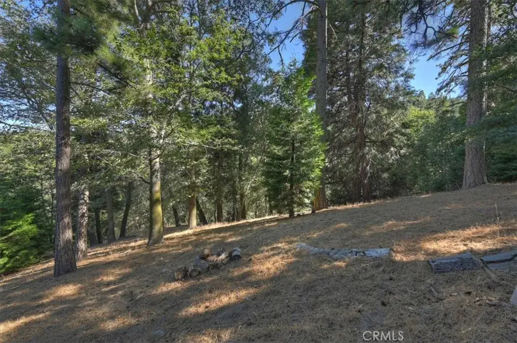 0 Pine, Cedarpines Park, CA 92322 - #1
