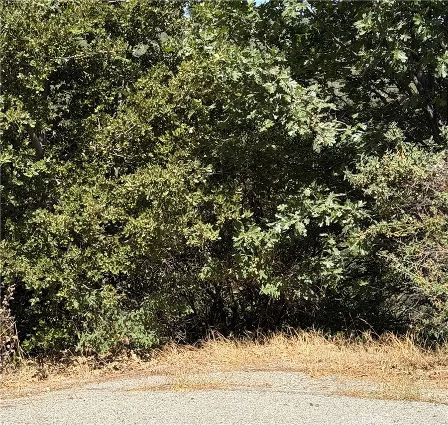 0 Brentwood, Lake Arrowhead, CA 92352 - #3