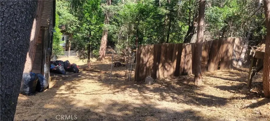 21891 Plunge, Cedarpines Park, CA 92322 - #3