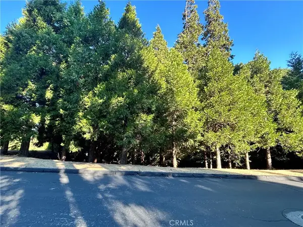 28980 White Dove, Lake Arrowhead, CA 92352