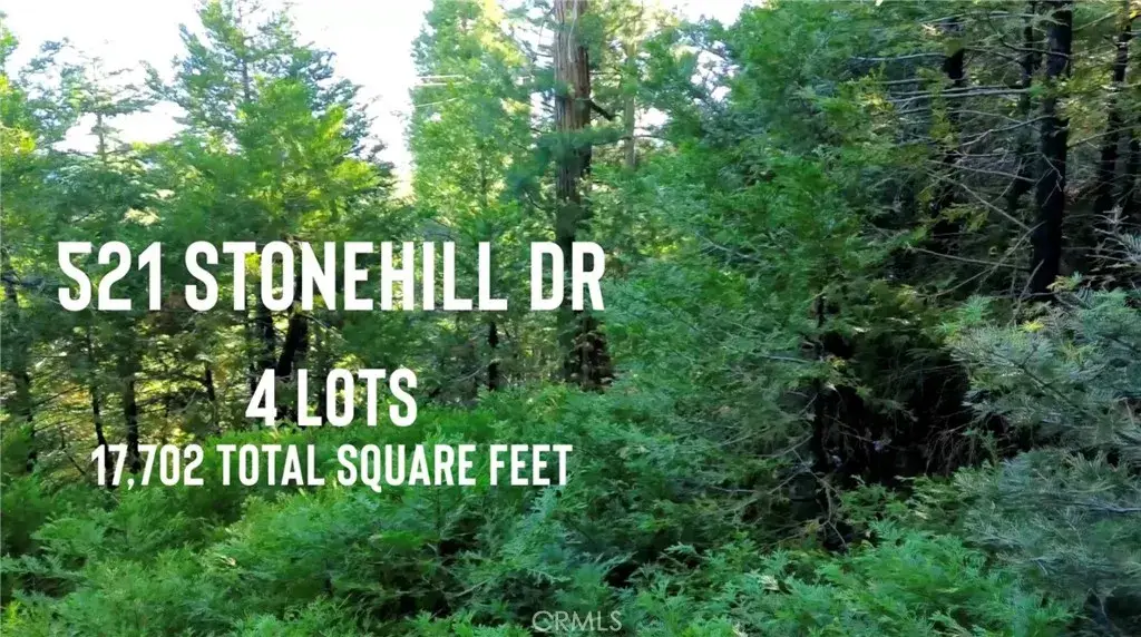 521 Stone Hill, Lake Arrowhead, CA 92352 - #1