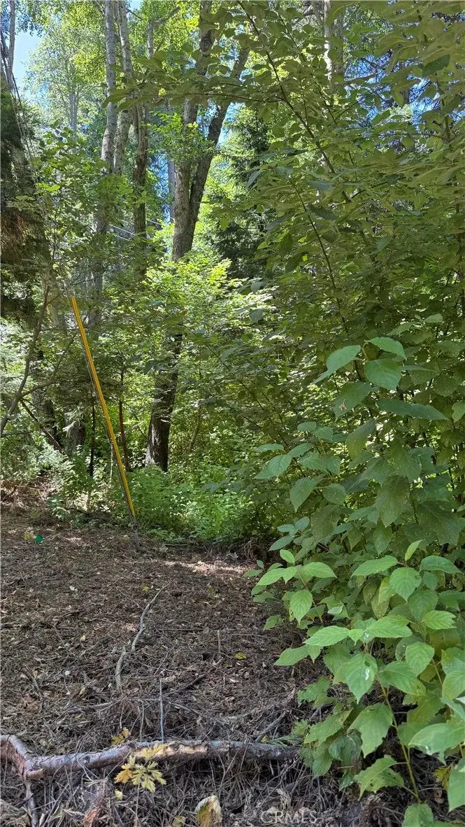 0 Rainbow, Lake Arrowhead, CA 92352 - #1