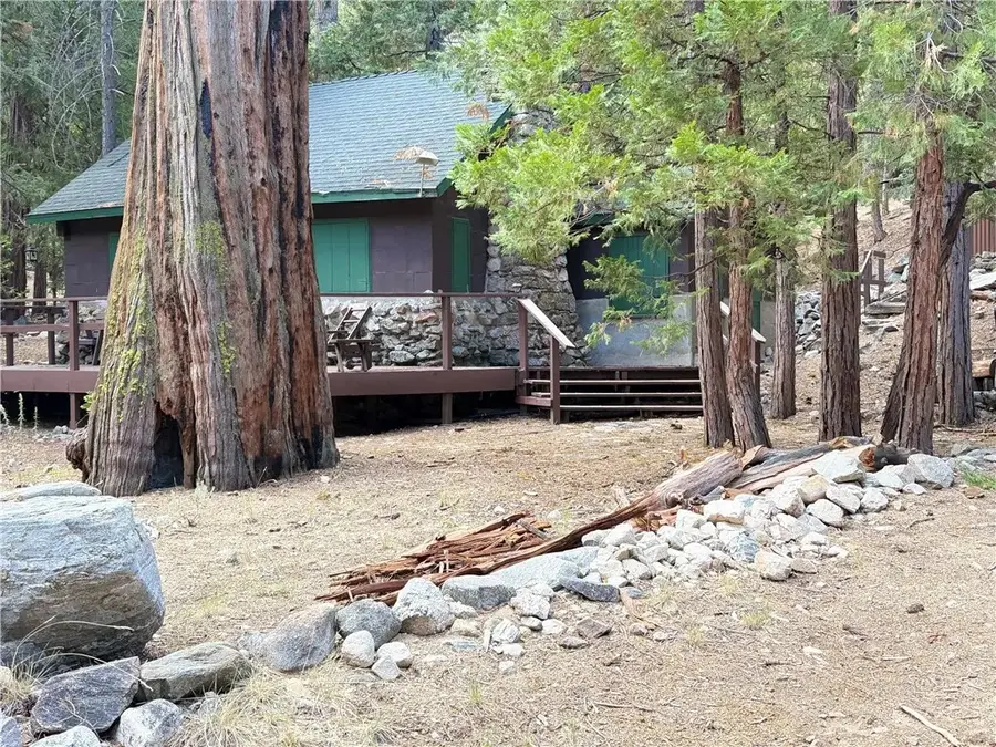 16 South Fork Road, Angelus Oaks, CA 92305 - #2