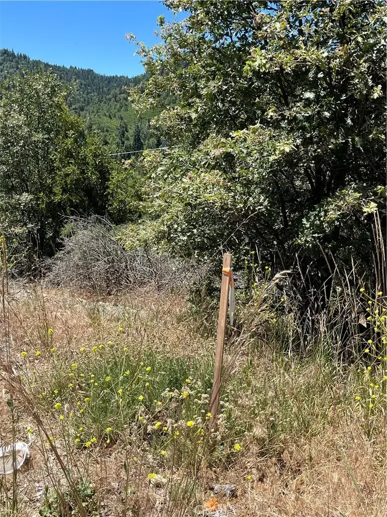 0 Balsam, Cedar Glen, CA 92321 - #3