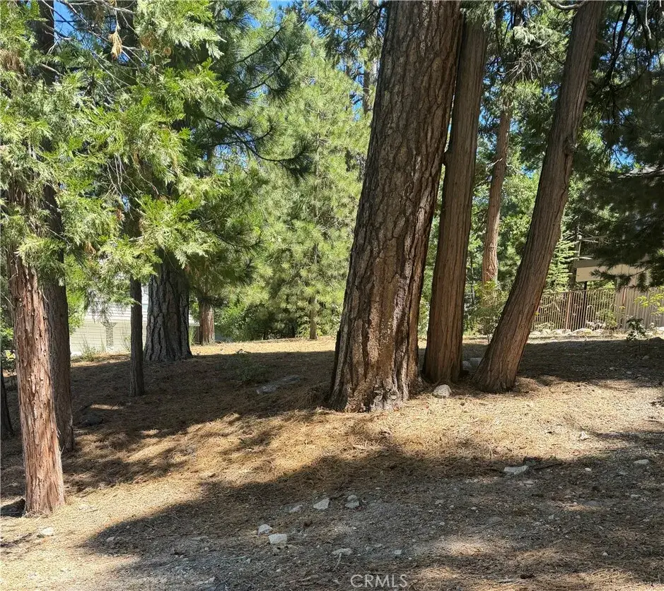 27586 Meadow Bay, Lake Arrowhead, CA 92352 - #1