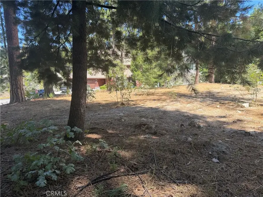 27586 Meadow Bay, Lake Arrowhead, CA 92352 - #2