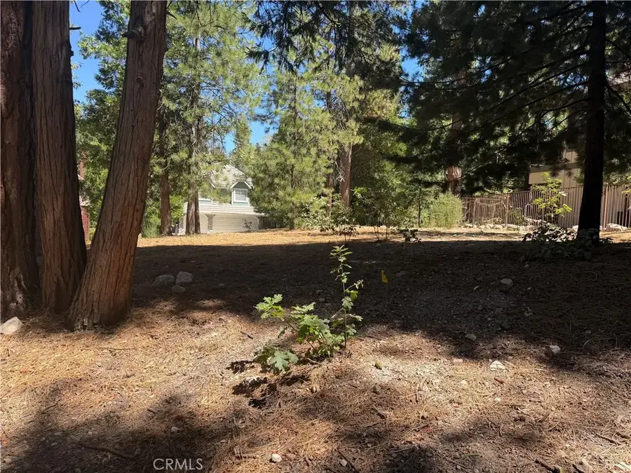 27586 Meadow Bay, Lake Arrowhead, CA 92352 - #3