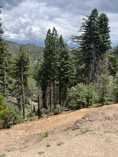 2349 Deep Creek, Running Springs, CA 92382 - #1